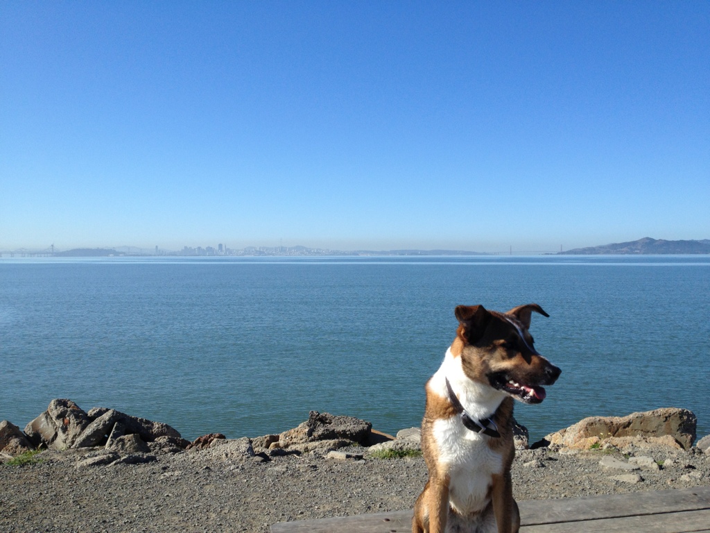 20120308-095243.jpg
