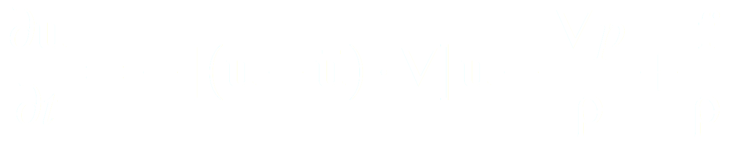 inviscid euler equations